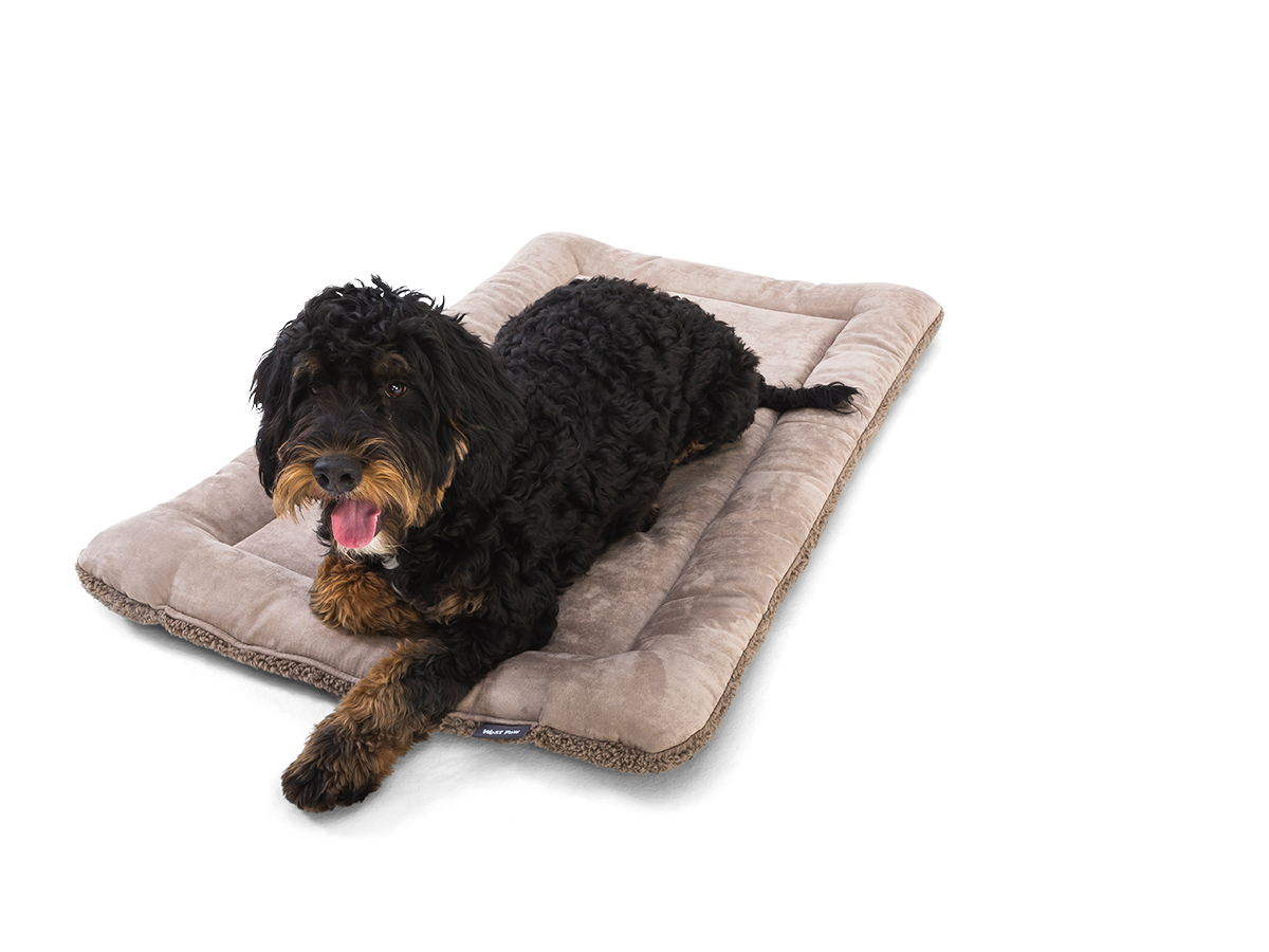 BIG-SKY-MAT_OATMEAL_DOG.png