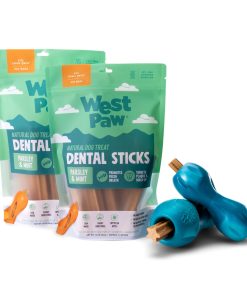 Small Limited Edition Winter Mint Qwizl + Dental Stick Bundle