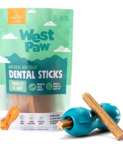 Large Limited Edition Winter Mint Qwizl + Dental Stick Bundle